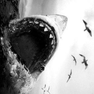 Meet your Posher, Meaghan